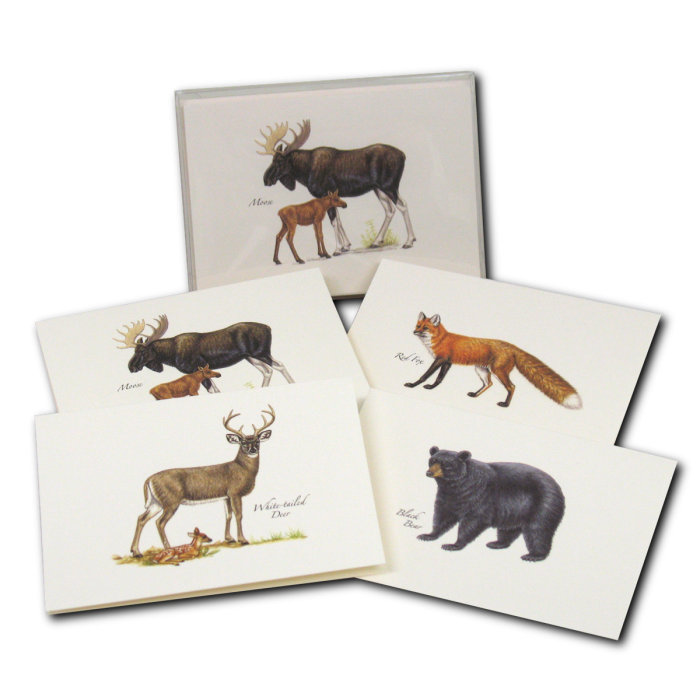 Mammal Assortment