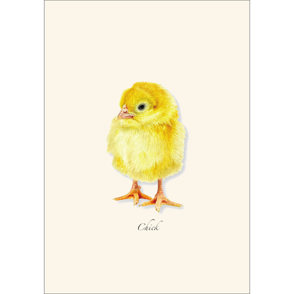 Chick Notecard Set
