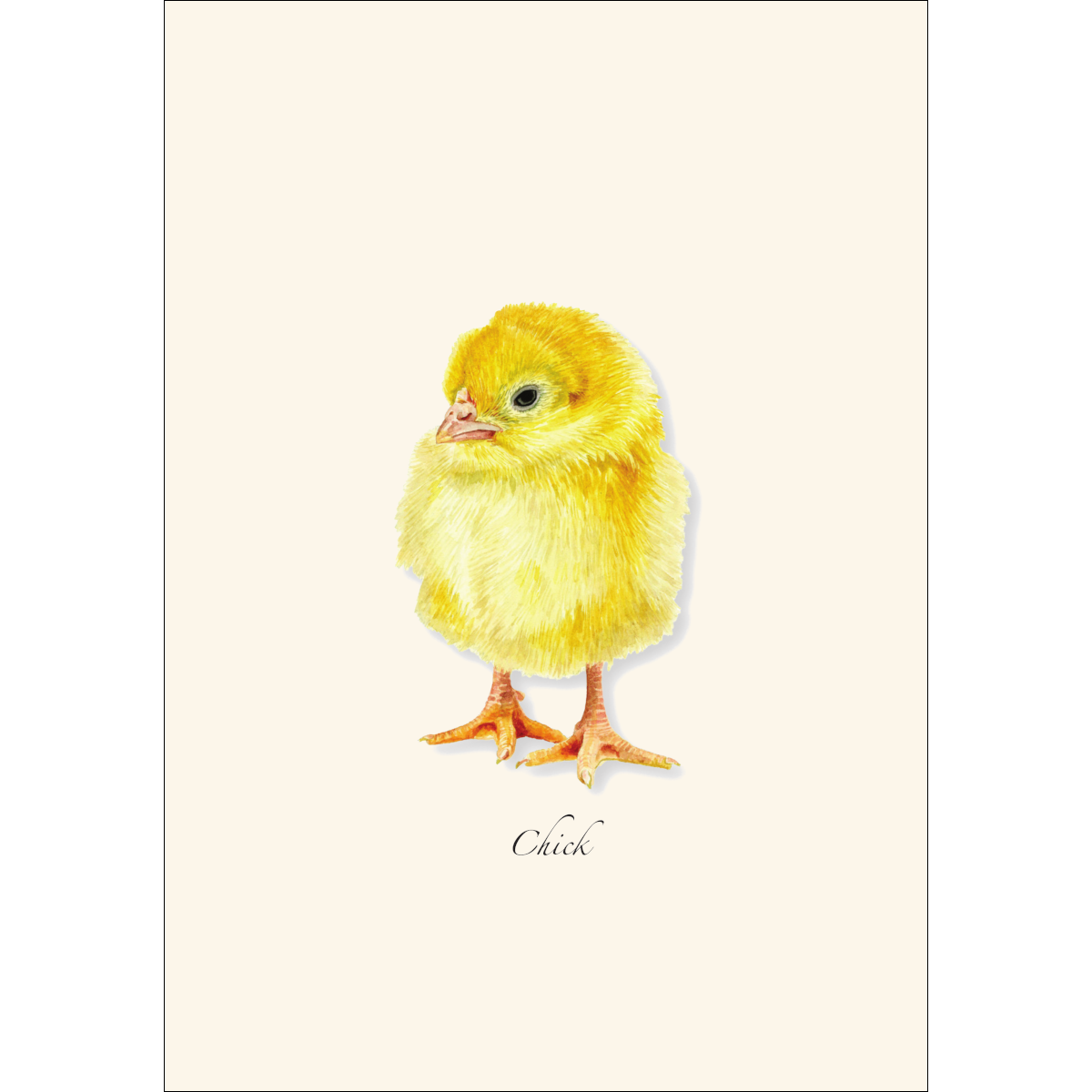 Chick Notecard Set