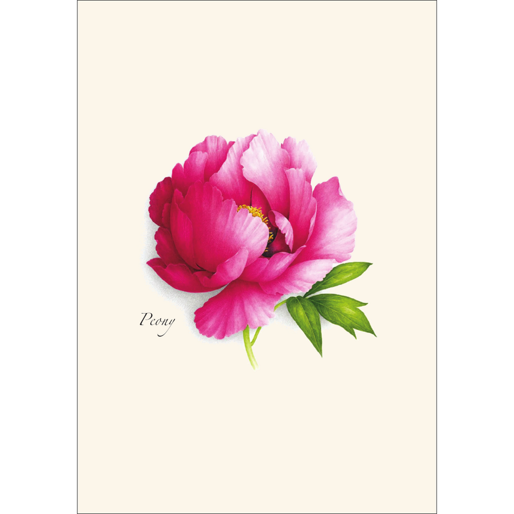 Peony Assortment