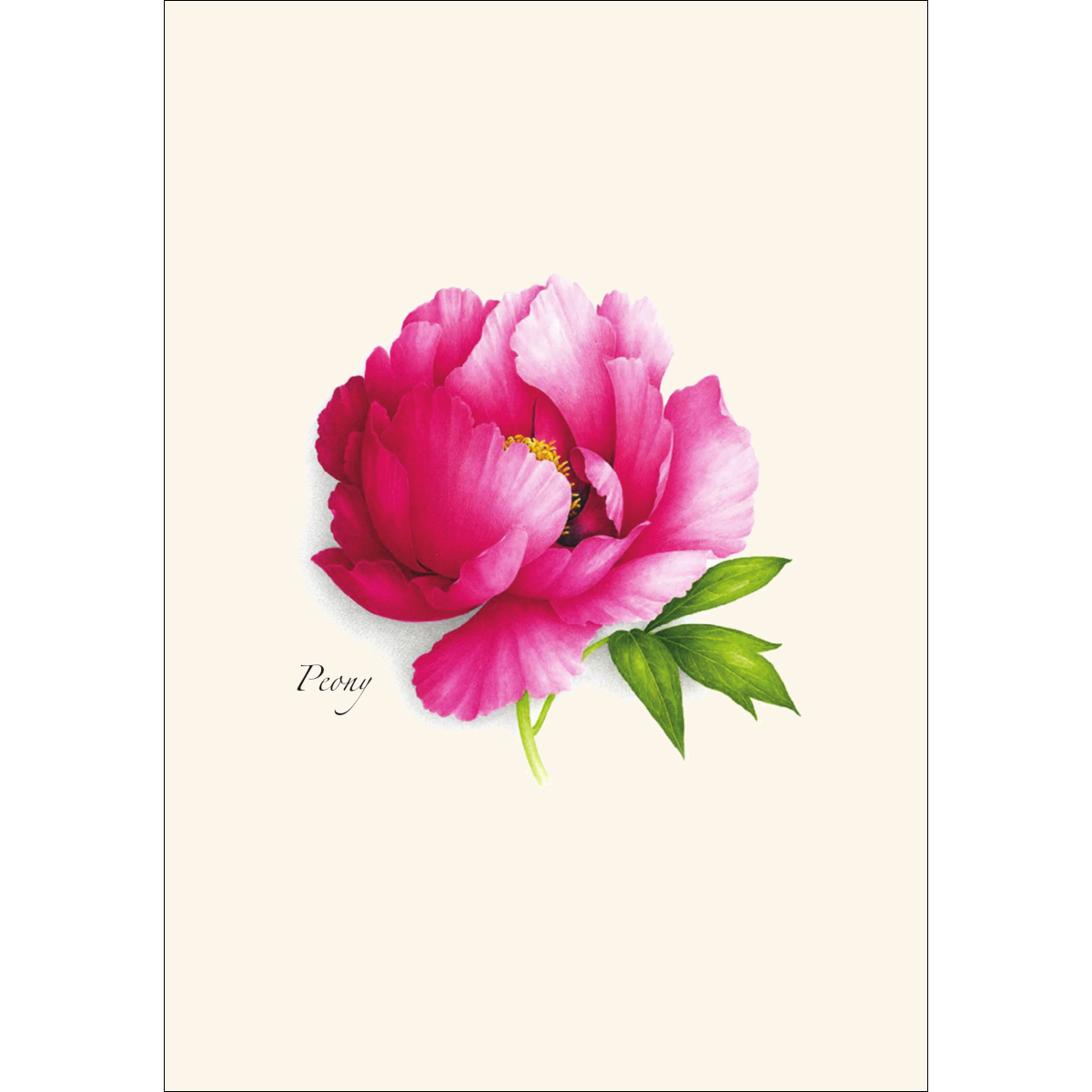 Peony Assortment