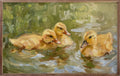 Duckling Swim By Petals Prints Design