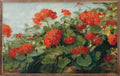 Geranium Wave By Carol Robinson