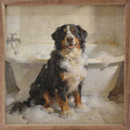 Bath Time Bernese Mountain Dog