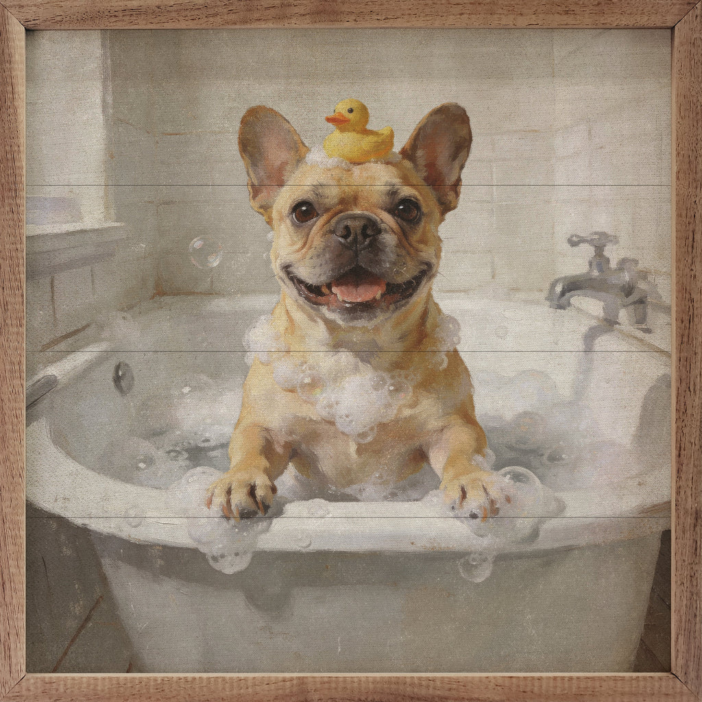 Bath Time French Bulldog