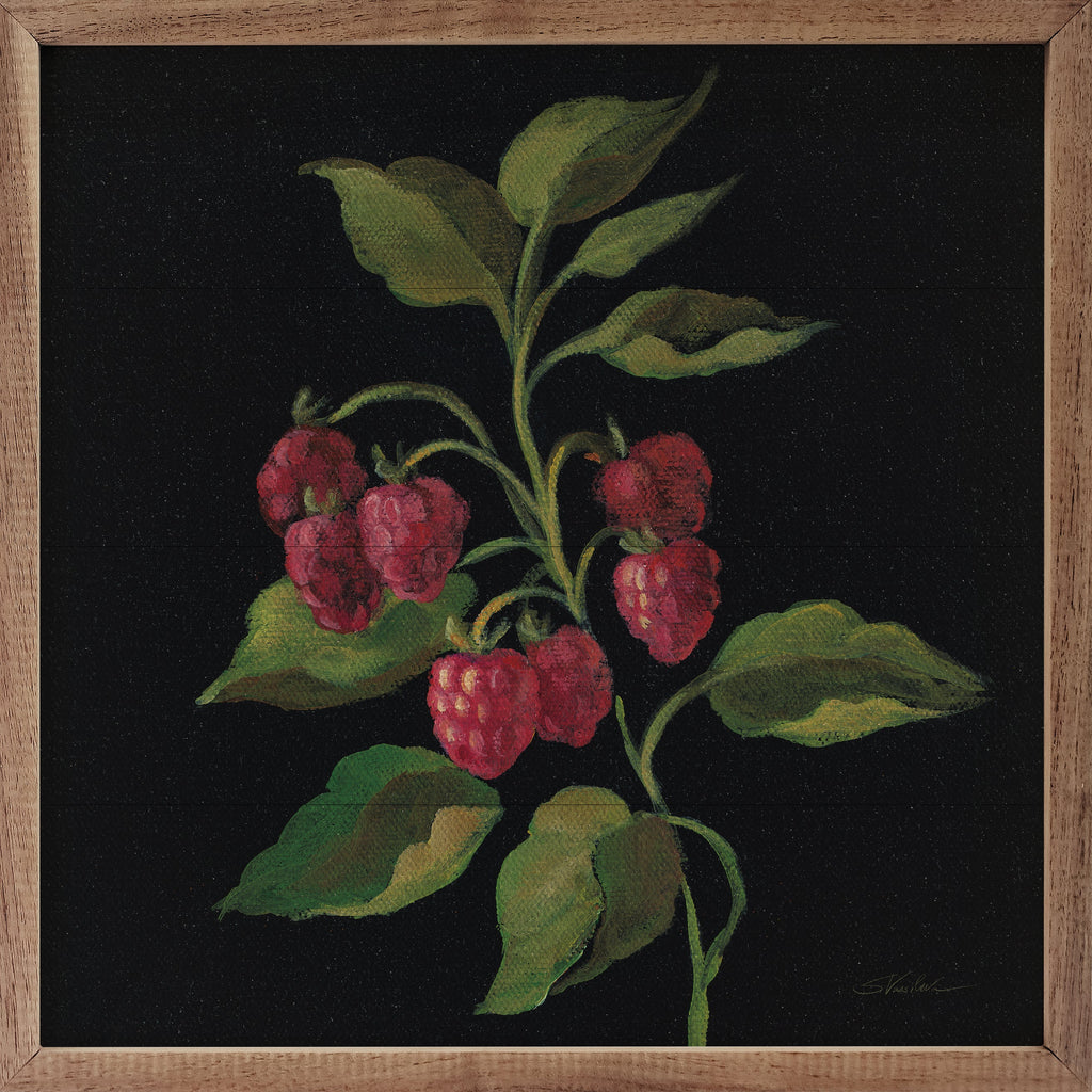Framboise By Silvia Vassileva