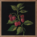 Framboise By Silvia Vassileva