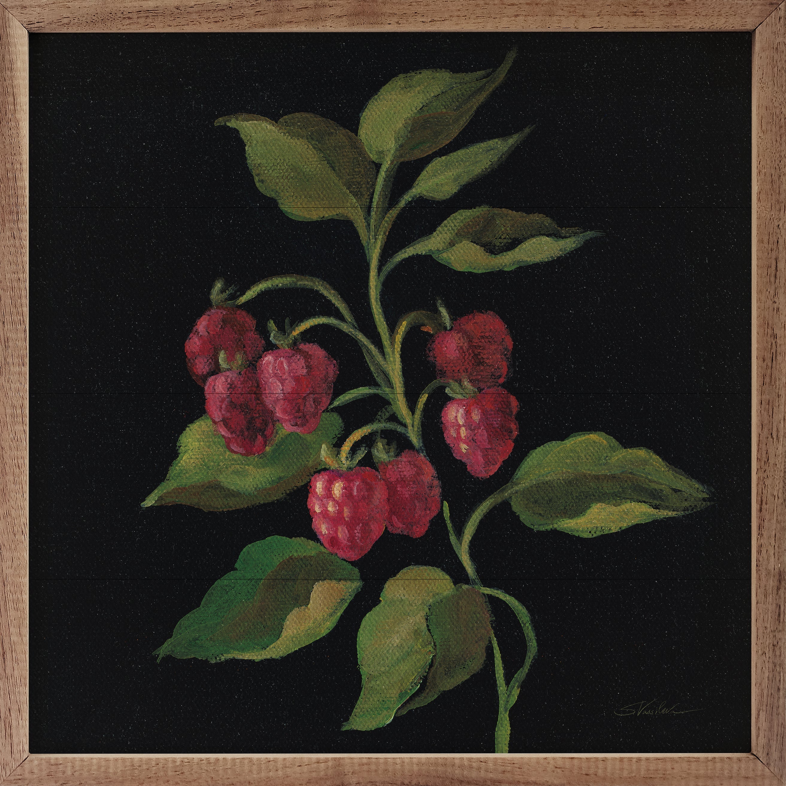 Framboise By Silvia Vassileva