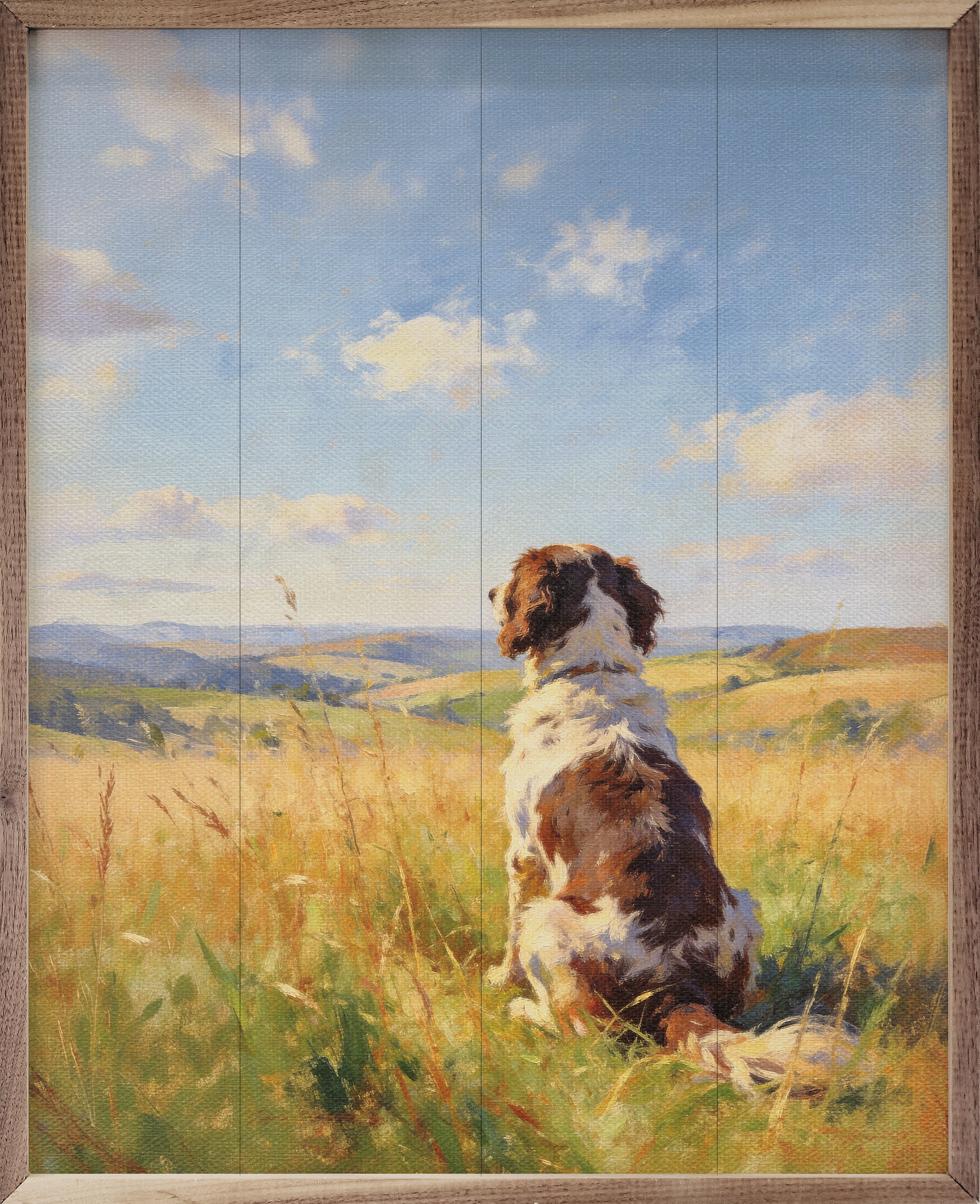 Sunny Day English Springer Spaniel