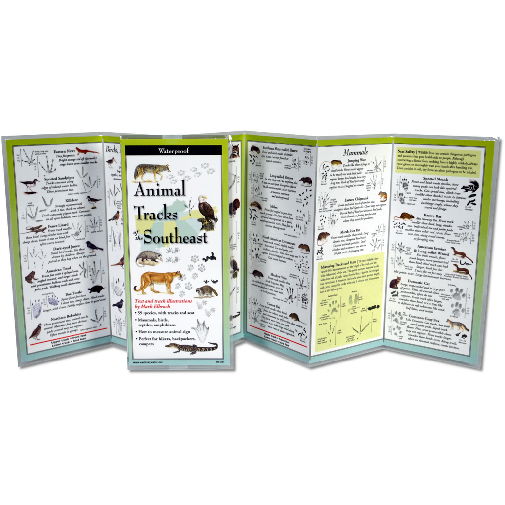 Animal Tracks of the Southeast