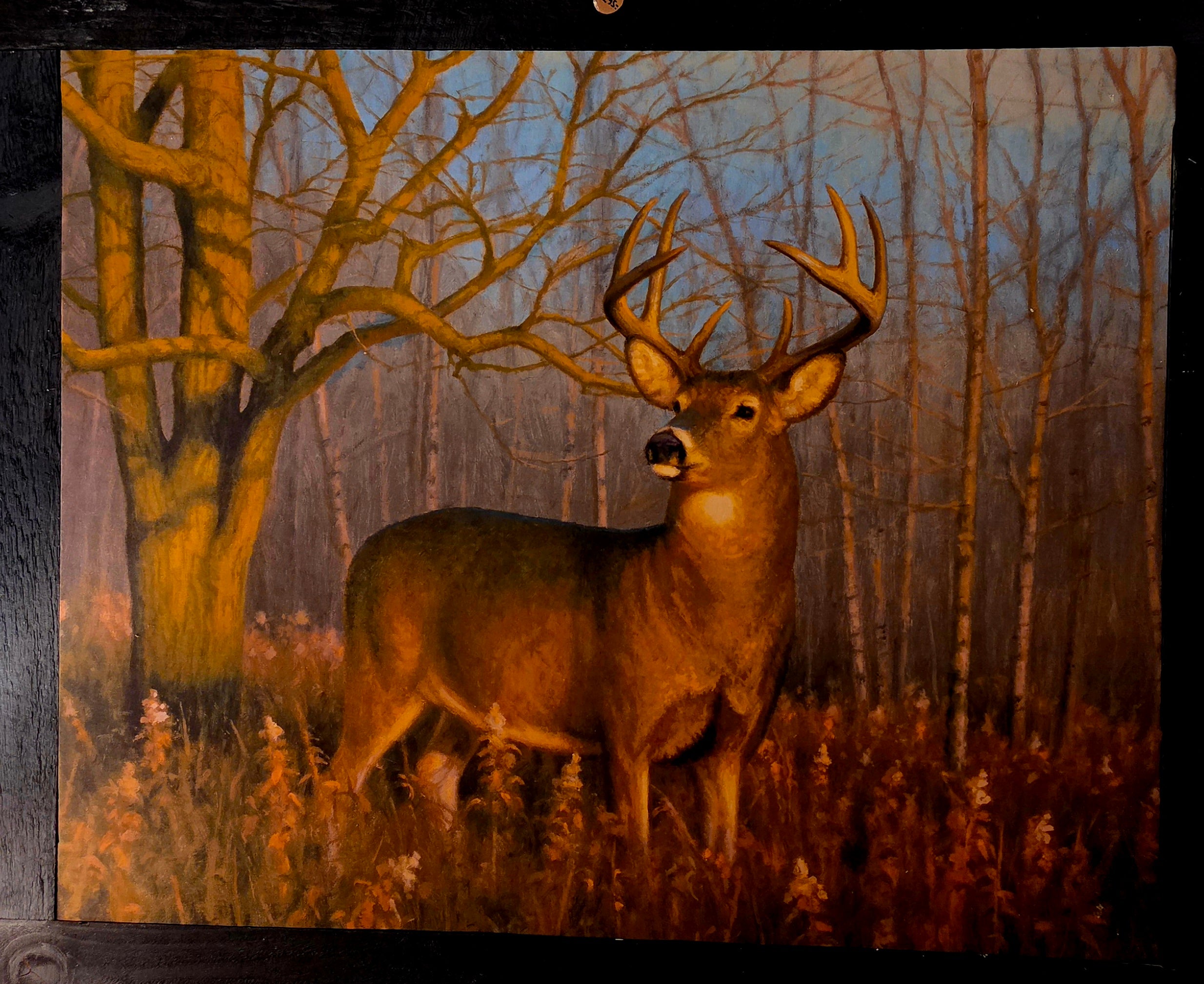 White Tailed Deer Art on Fabric