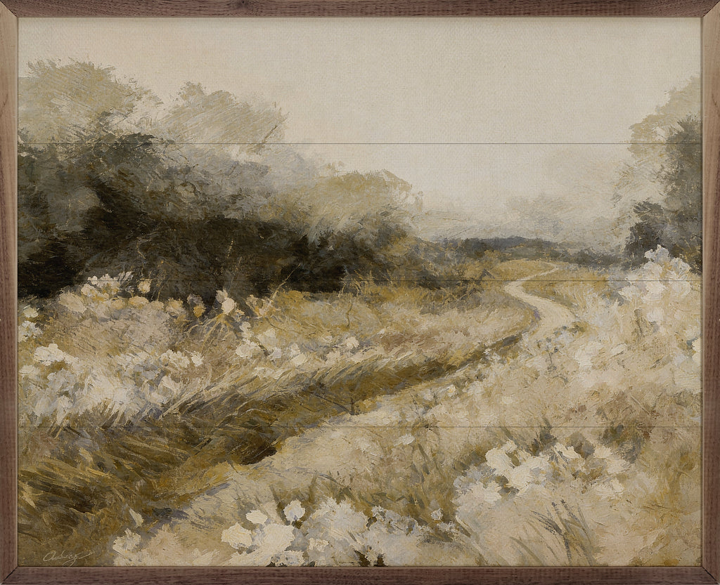 Winding Path Through The Meadow