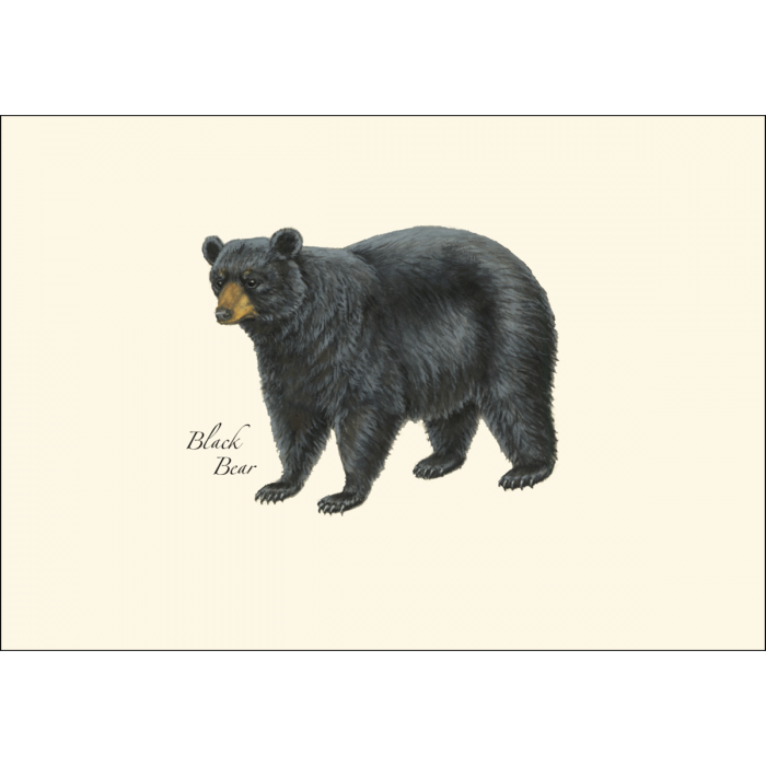 Mammal Assortment