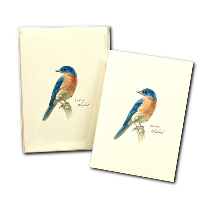 Bluebird II