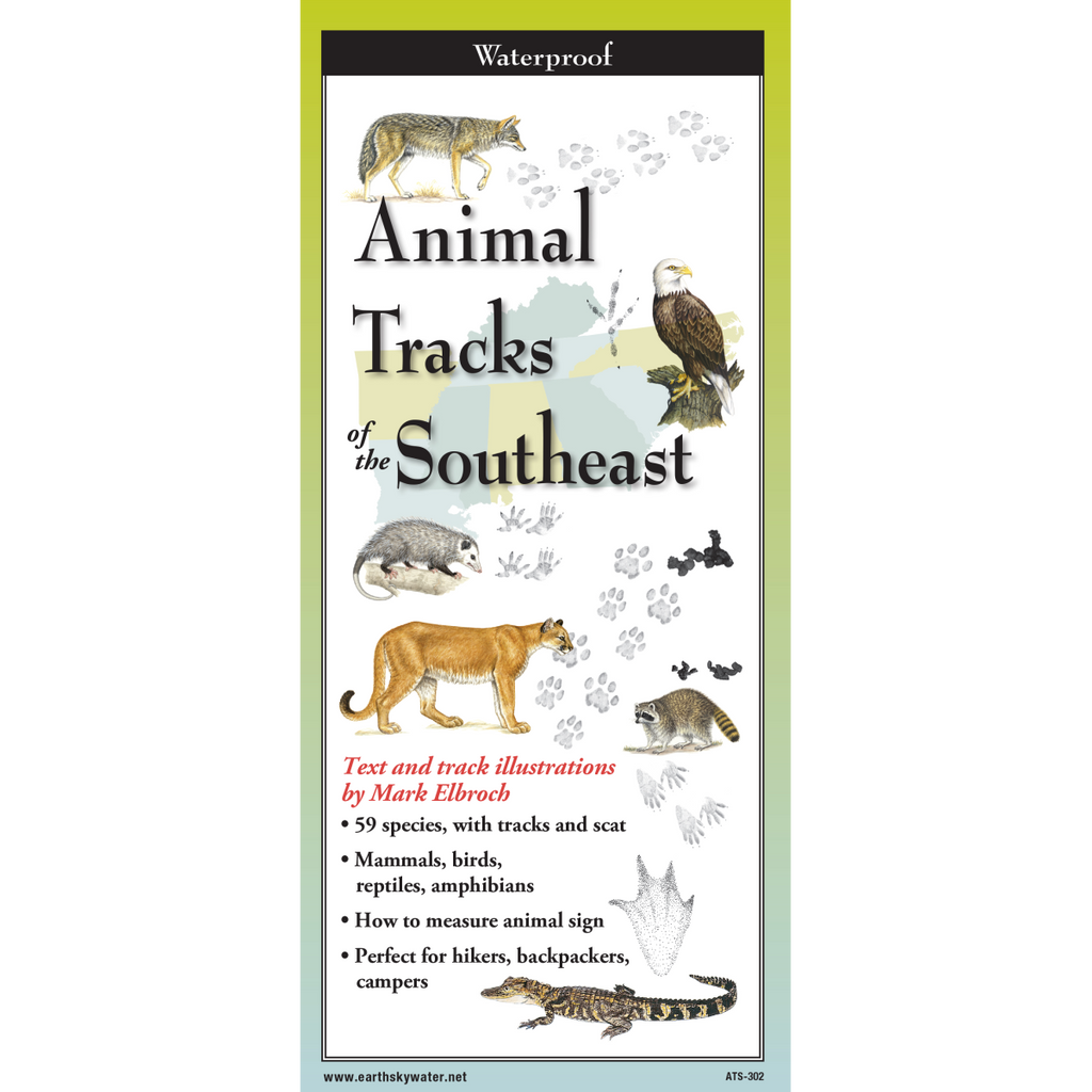 Animal Tracks of the Southeast