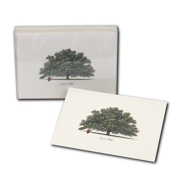 Live Oak Assorted Notecard Set