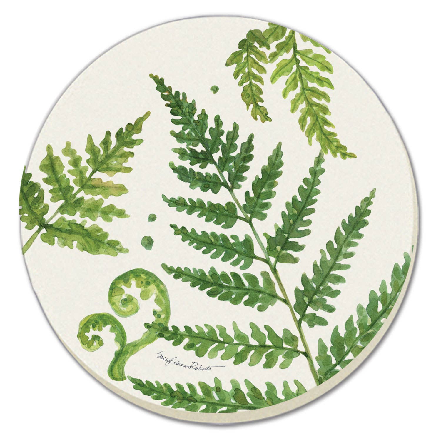 "Ferns II" 4 Pack Round Absorbent Stone Coasters