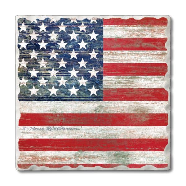 Thirstystone Coaster 4pk - Bluebonnet Fields