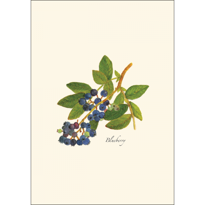 Berry Assortment Notecard Set