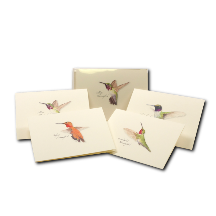 Western Hummingbird Assortment