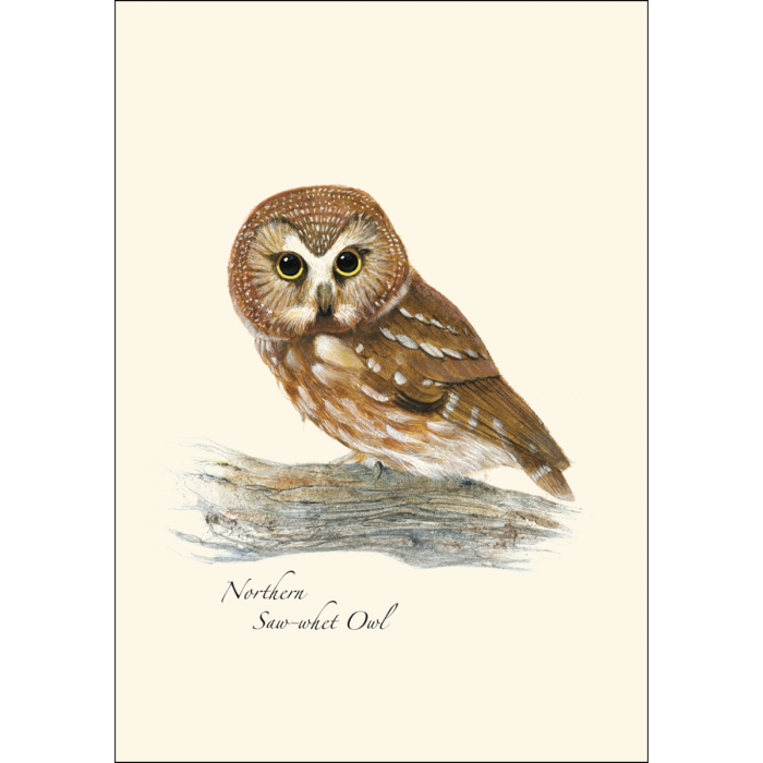 Owl Assortment II