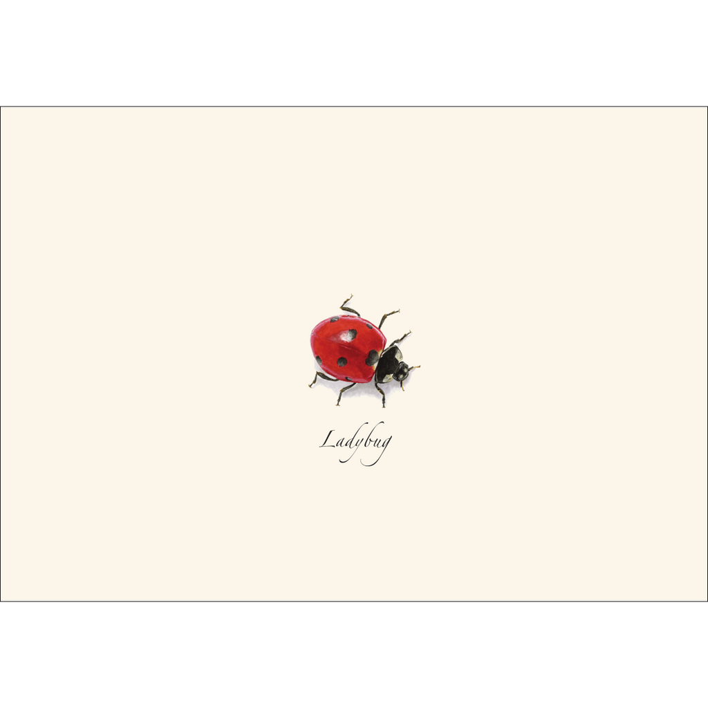 Ladybug Notecard Set