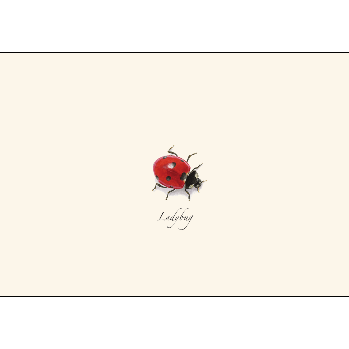 Ladybug Notecard Set