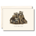 Raccoon Kits Notecard Set