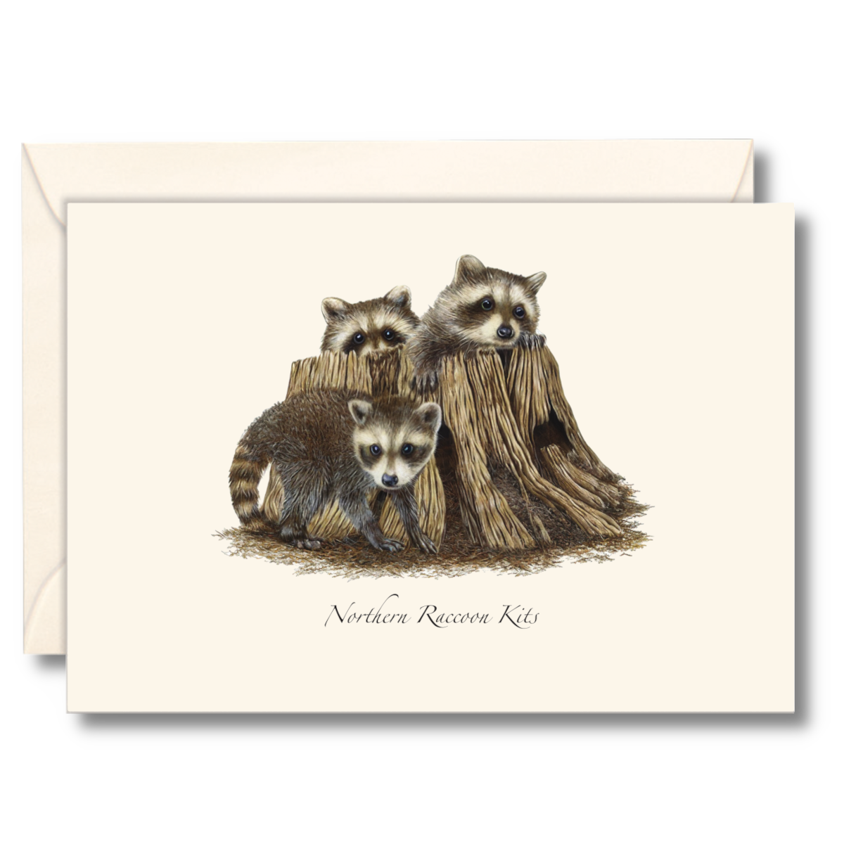 Raccoon Kits Notecard Set