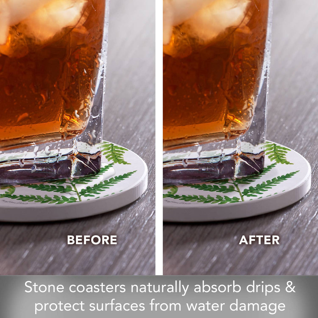 "Ferns II" 4 Pack Round Absorbent Stone Coasters