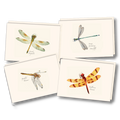 Damselfly & Dragonfly Assortment II Notecard Set