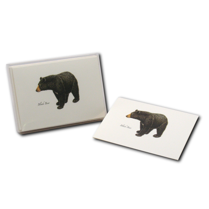 Black Bear