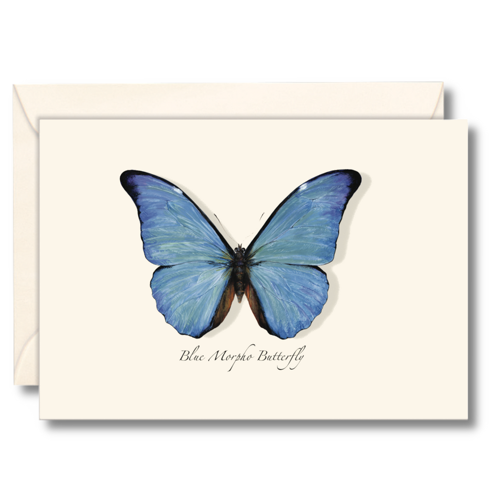 Blue Morpho Butterfly