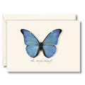 Blue Morpho Butterfly