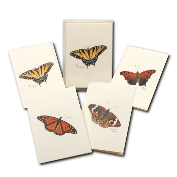 Butterfly Assortment