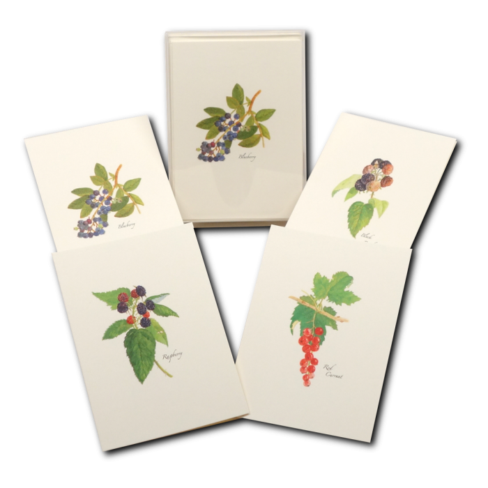 Berry Assortment Notecard Set