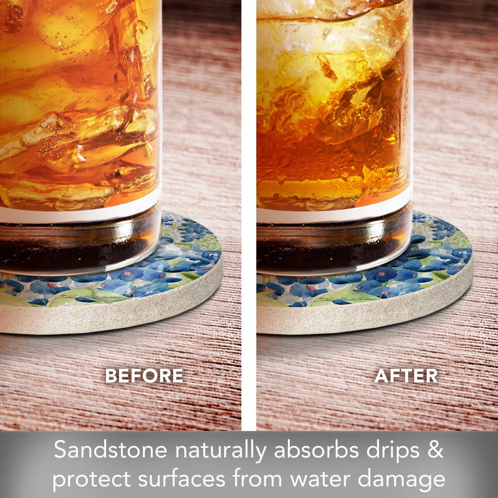 "Bluebonnet Field" 4pk Round Natural Sandstone Coaster