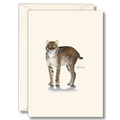 Bobcat Boxed Notecard Set