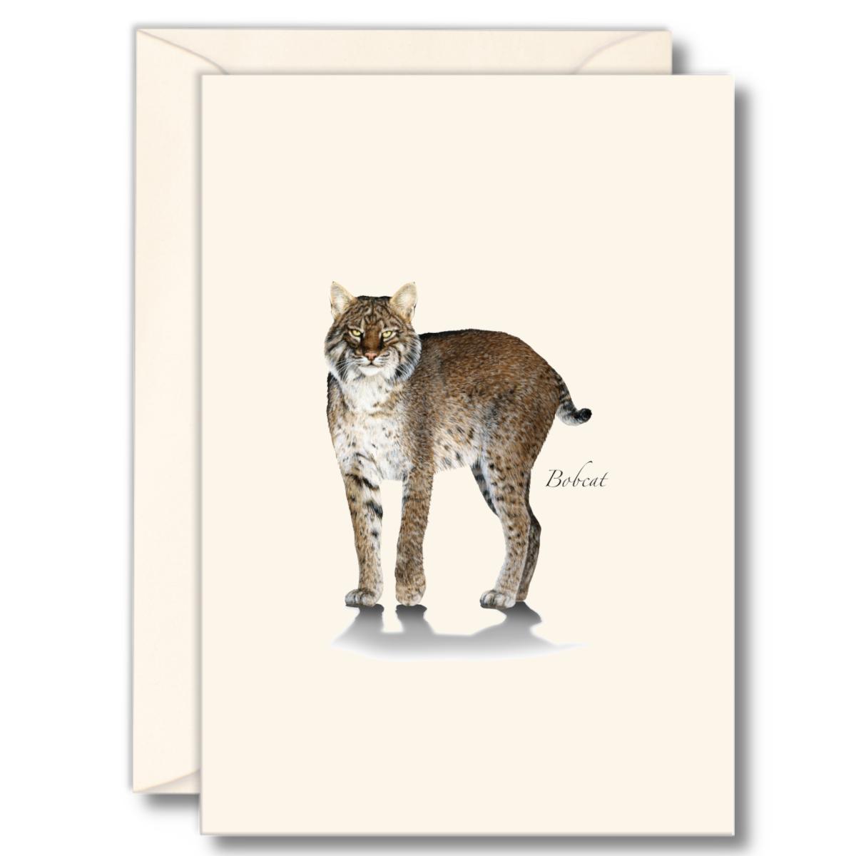 Bobcat Boxed Notecard Set