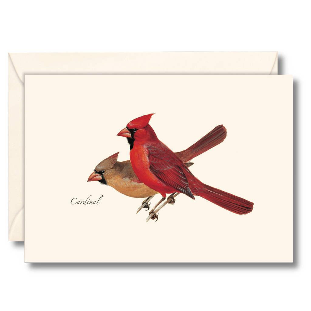 Cardinal Notecard Set, Illustrated by Roger Tory Peterson