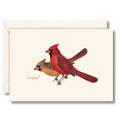 Cardinal Notecard Set, Illustrated by Roger Tory Peterson