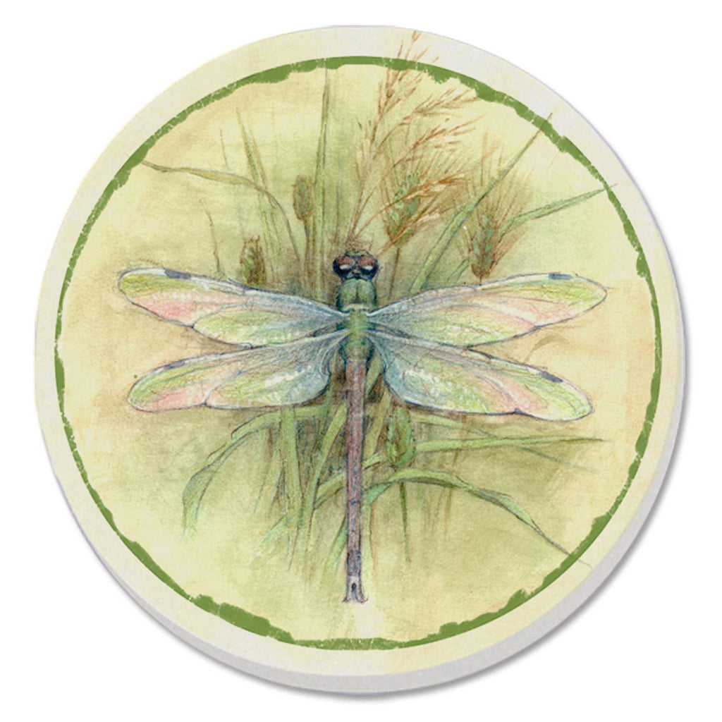 Thirstystone Coaster 4pk - Bluebonnet Fields