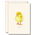 Chick Notecard Set
