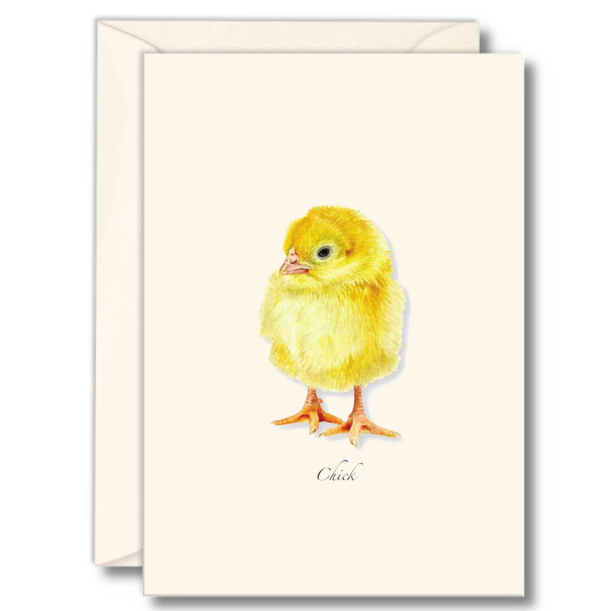 Chick Notecard Set