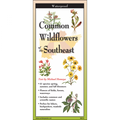 Common Wildflowers of the Southeast