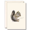 Gray Squirrel