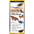 Common Butterflies of the Southeast