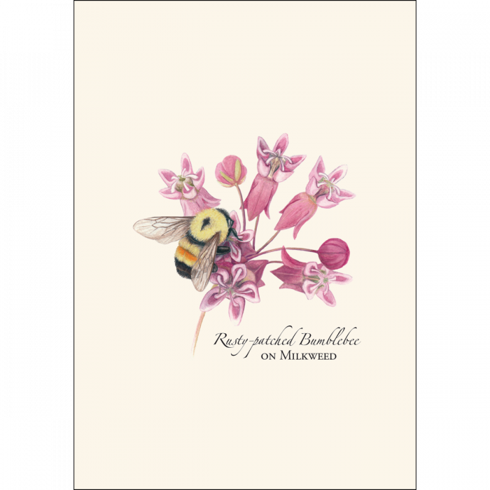 Bumblebee Assortment Notecard Set