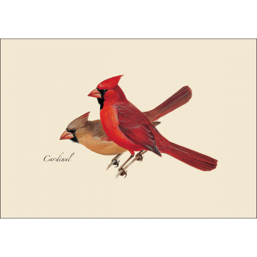 Cardinal Assortment Notecard Set