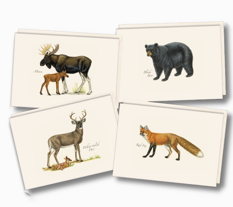 Mammal Assortment